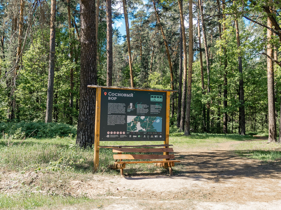 Туристы пожаловались на отсутствие общественных туалетов в Солотче