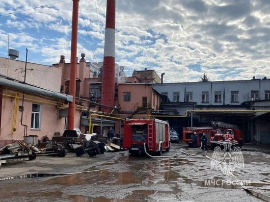 Появились подробности пожара на хлебозаводе в Курске