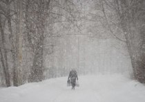 Уходящая зима решила напоследок «вдарить по полной» и сначала аукнулась псковичам морозным рекордом, а после – почти рекордным снегопадом