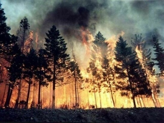 В Ростовской области с 15 марта начался пожароопасный сезон
