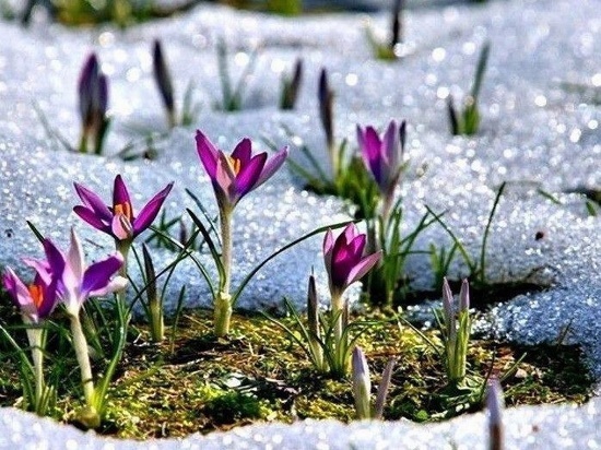 В Серпухов пришла весна