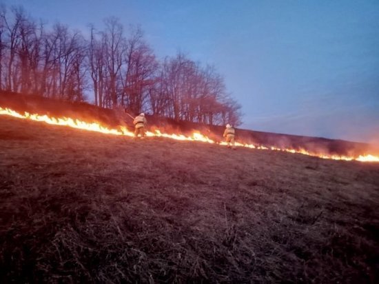В Медвенском районе Курской области пожарные тушили горение сухой травы на 400 «квадратах»