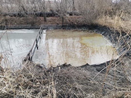  В Артеме начали проверку сообщений по загрязнению реки Кневичанка