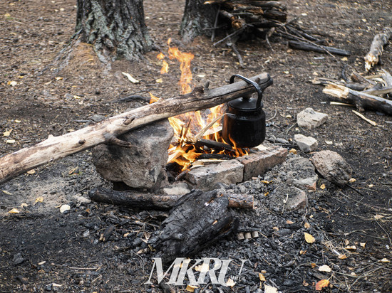 Пожарные ликвидировали возгорание 35 га леса в Читинском районе