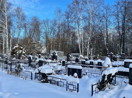 Часть Коминтерновского кладбища на Московском проспекте Воронежа объявят объектом культурного наследия
