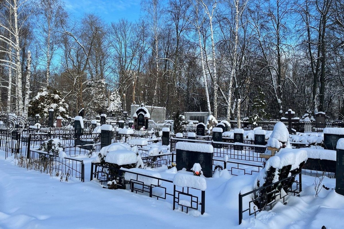 Бесплатные кладбища московская область. Коминтерновское кладбище Воронеж. Коминтерновское кладбище Воронеж аллея славы. Ерёминское кладбище. Артековское кладбище Воронеж.