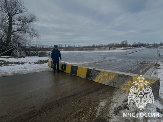 Еще один мост затопили талые воды в Татарстане