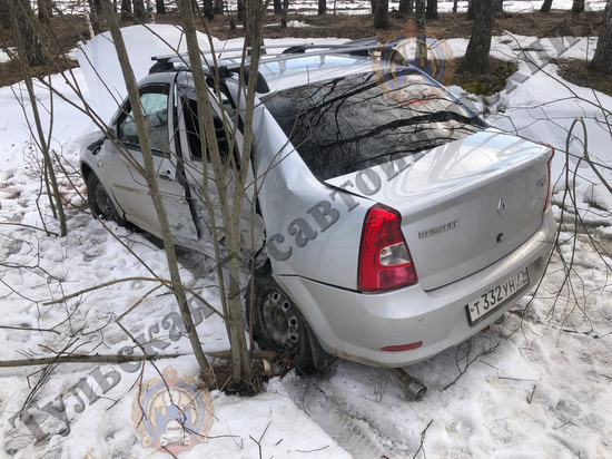 В ДТП под Арсеньево погиб мужчина и пострадала его женщина-пассажир