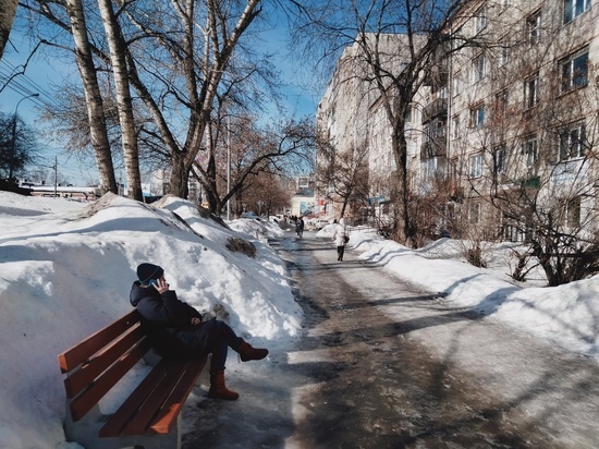 До + 5 градусов прогреется воздух в Томске 17 марта