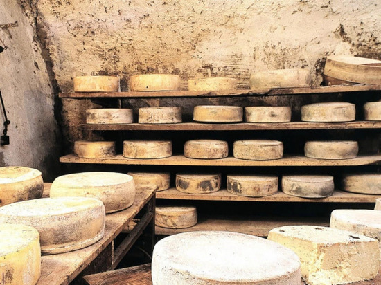 Ученые выяснили, что в каменном веке умели производить сыр