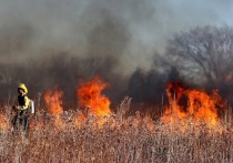 Пожар на полигоне ТБО «Вырицкий» в Гатчинском районе Ленобласти продолжается с конца февраля 2023 года