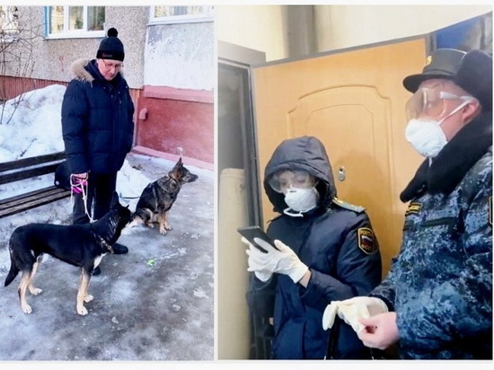 В Новочебоксарске приставы забрали собак у нерадивых хозяев
