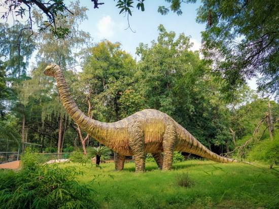 У найденного в Китае динозавра шея была в шесть раз длинней, чем у жирафа