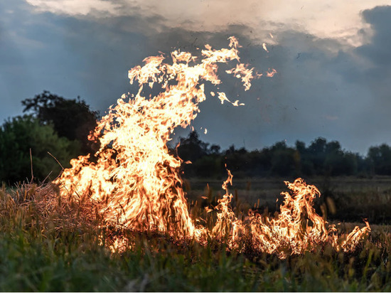 Пожар в лесах Левашинского района Дагестана возобновился