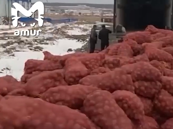 Фермер из Приморья выбросил более 20 тонн отборного картофеля на радость местным жителям