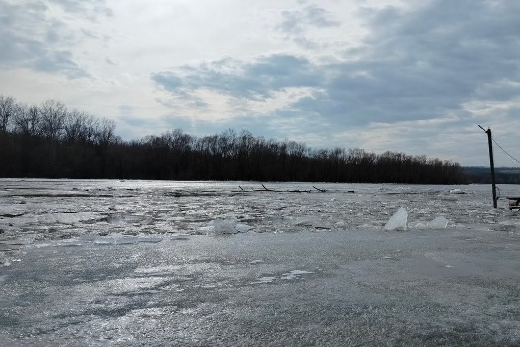 Ледоход на реке Костроме может начаться раньше срока