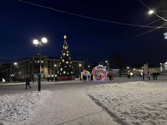 Более 1400 вологжан поучаствовали в проекте «Цветущий зимний город»