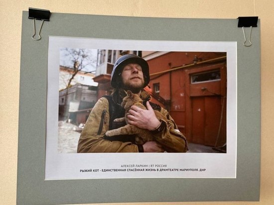 В МАГУ открылась выставка фотографий и рисунков про жизнь защитников Донбасса