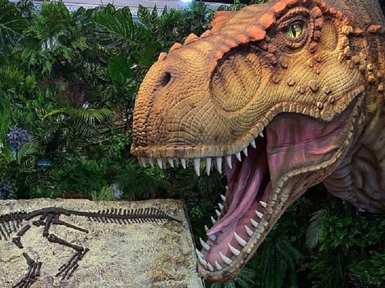 В Дубае на выставке показали фигуры кировских динозавров