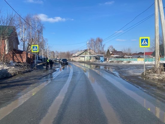 Полицейские Новосибирска ищут водителя, сбившего двух подростков на переходе