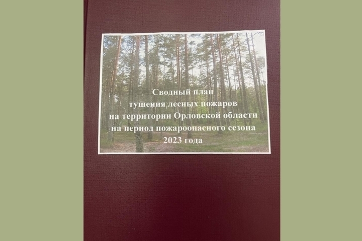 План тушения лесных пожаров на территории лесничеств