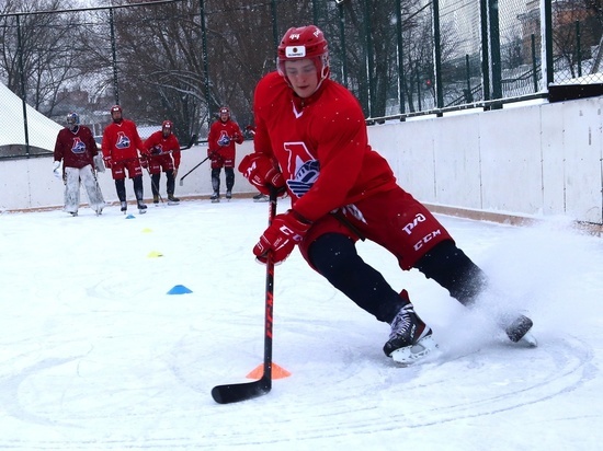 Двое ярославских хоккеистов вошли в топ-5 КХЛ