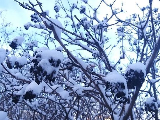 Жителей Ленобласти предупредили о снегопаде и сильном ветре до конца недели