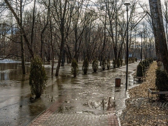 В Мичуринске частично подтопило нескольких участков городской набережной