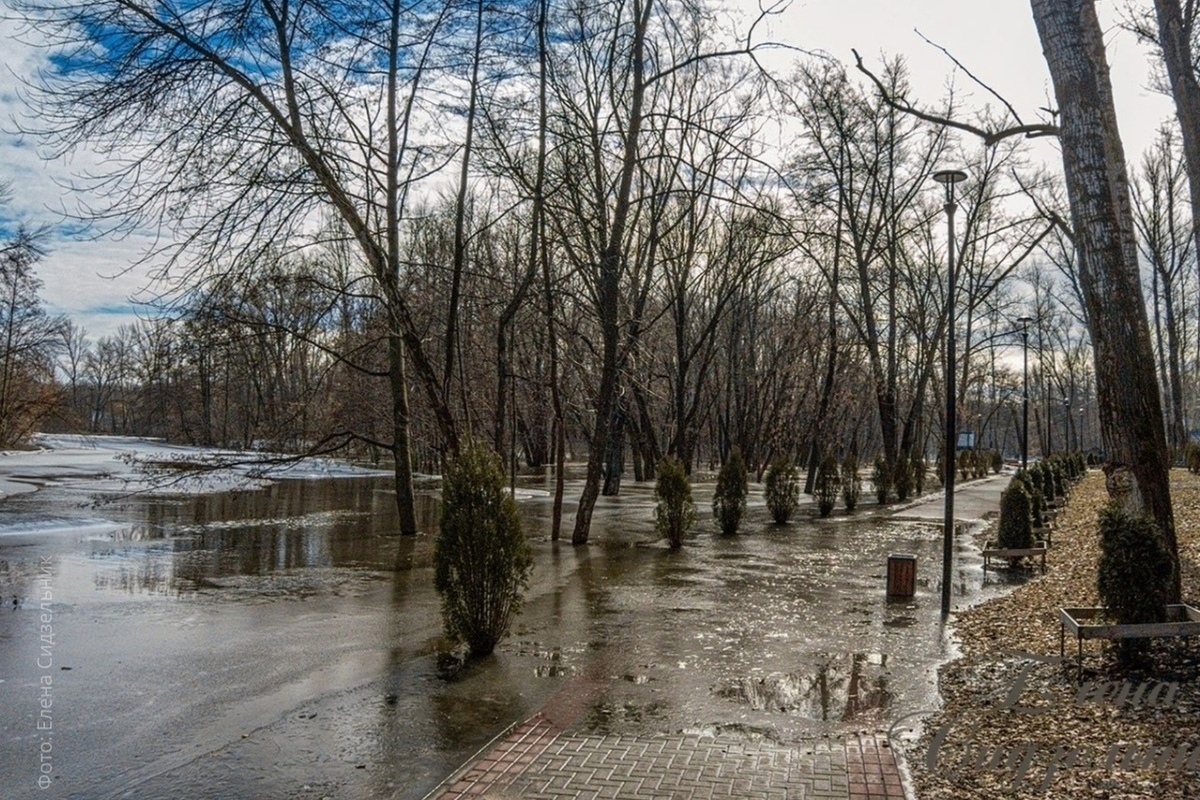 база отдыха рубцовск