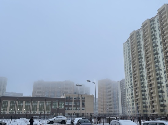 Густой туман накроет Ленобласть в ночь на 17 марта