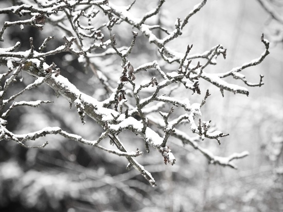 Днем 17 марта в Сахалинской области ожидается снег и ветер с порывами до 15 м/c