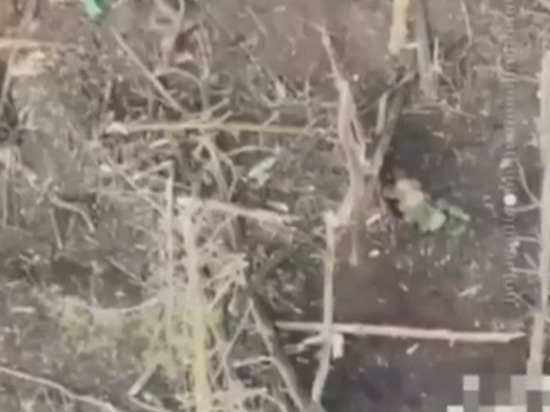 Опубликовано видео подвига рядового Мальцева, который в одиночку захватил траншею противника