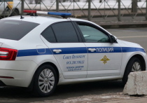 В Санкт-Петербурге местный житель перевел банде подростков 300 тысяч рублей под угрозой игрушечного пистолета