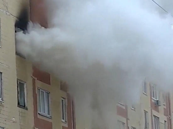 На пожаре на улице Новосёлов в Рязани спасли одного взрослого и двоих детей