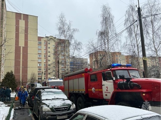 Два человека погибли на пожаре в частном доме в Соколовке на окраине Рязани