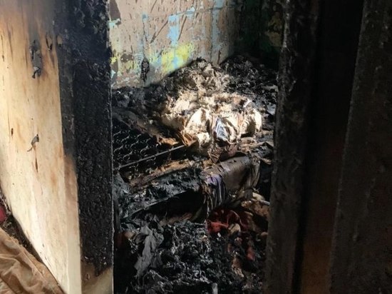 На пожаре в частном доме на окраине Рязани погибла семья пенсионеров