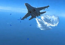 Пилотировавшие самолеты Су-27 летчики, безусловно, достойны награды за то, что воспрепятствовали полету иностранного дрона-разведчика