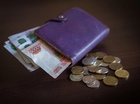 Получать зарплату в конверте согласны 42% жителей Петрозаводска