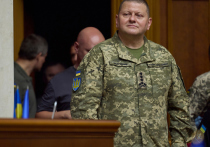 Кабинет министров Украины пытается продавить в Раде закон, ограничивающий возможности военных участвовать в политической жизни страны