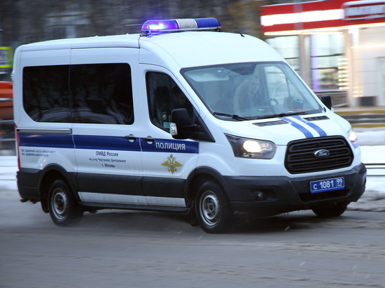 Кондуктор в Серпухове избила пассажирку за разговор по видеосвязи