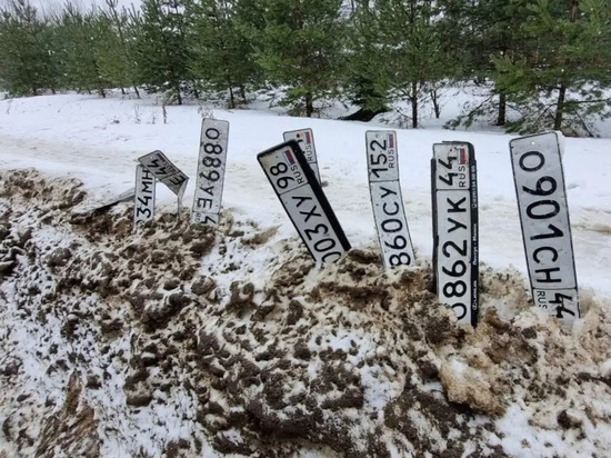 Костромские казусы: в Михалёвском проезде появилась выставка потерянных авто-номеров