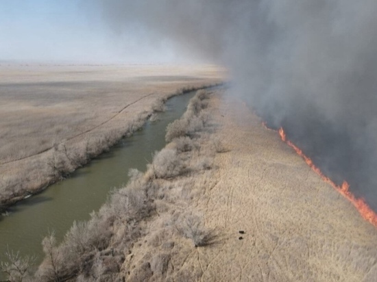 Природный пожар в Астраханском заповеднике охватил около 8000 га