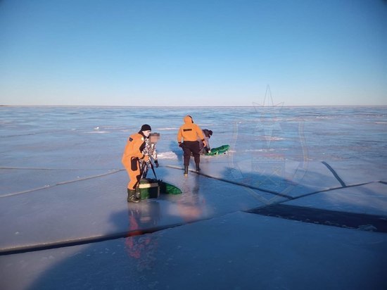 Спасатели сняли рыбаков, которые забрались на тающую льдину в Ладожском озере