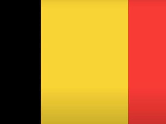 Бельгия анонсировала поставку Украине 230 боевых машин