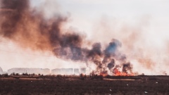 Появилось видео, как в Астраханской области тушат ландшафтные пожары 