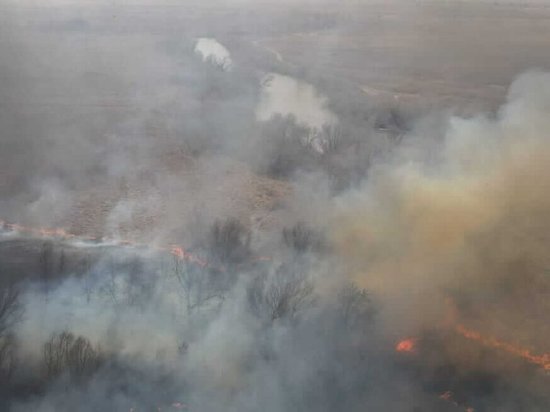«Продолжает гореть»: в Астраханской области площадь пожара в заповеднике увеличилась в два раза