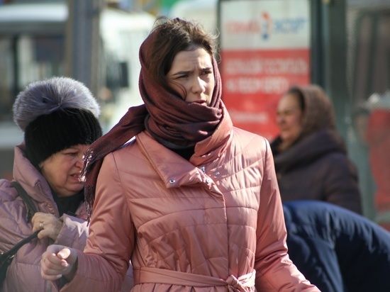 В Новосибирске МЧС предупредило о резком похолодании до -20 градусов после дождя и метели