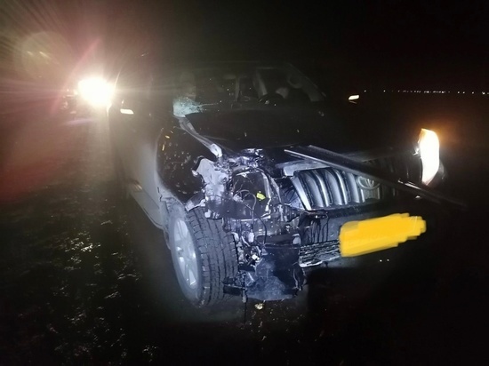 В Челябинской области водитель насмерть сбил пешехода
