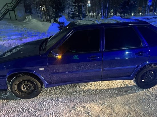 В Надымском районе водителя арестовали за сплошную тонировку авто