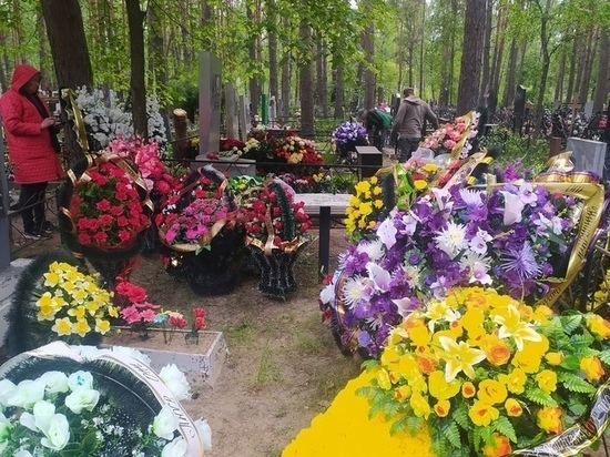 В Аннинском районе Воронежской области построят кладбище за 72 млн рублей